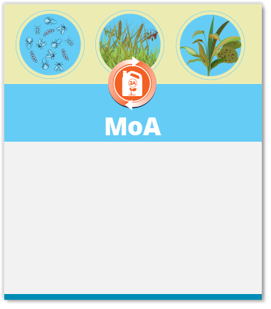 La imagen no esta disponible