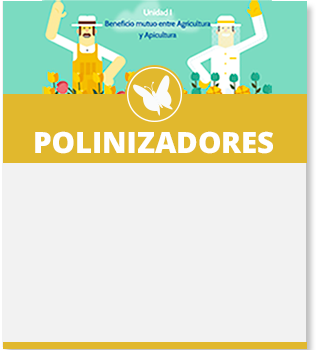 La imagen no esta disponible