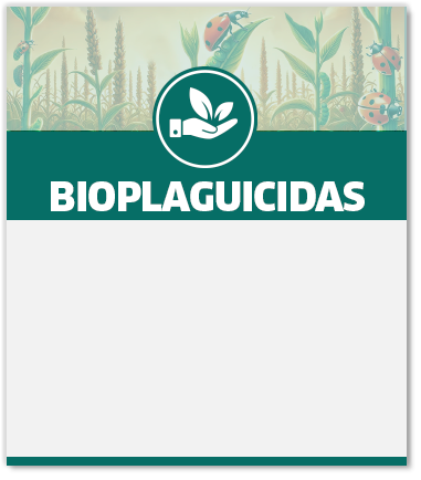 La imagen no esta disponible